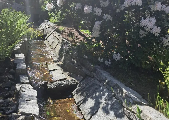 Pawel Z Balia I Jacuzzi カルパッチ