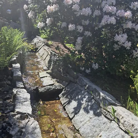 Pawel Z Balia I Jacuzzi Karpacz